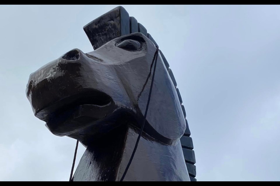 Replica of the Trojan Horse visited Blind River Hospital on Friday 