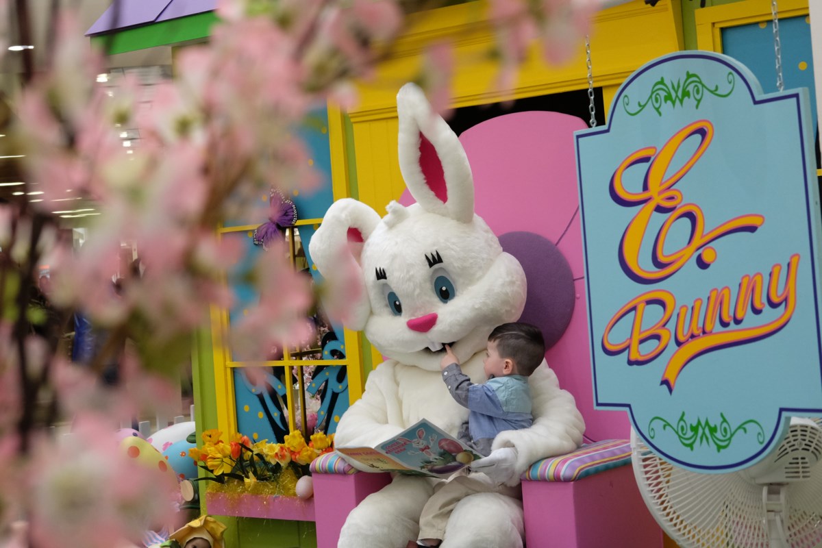 The Easter Bunny at the Station Mall (15 Photos) Sault Ste. Marie News