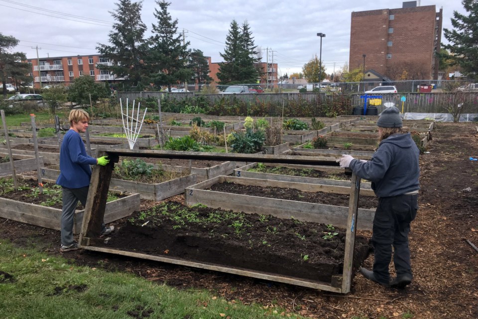 Volunteers Don McGorman and high school student Ryan Baggs lift and remove cedar planting beds from the Allard Street Community Garden on Friday. The garden has been forced to move locations and is desperately trying to remove and store its equipment and infrastructure before the property is handed over to new owners on Monday. Jeff Klassen for SooToday