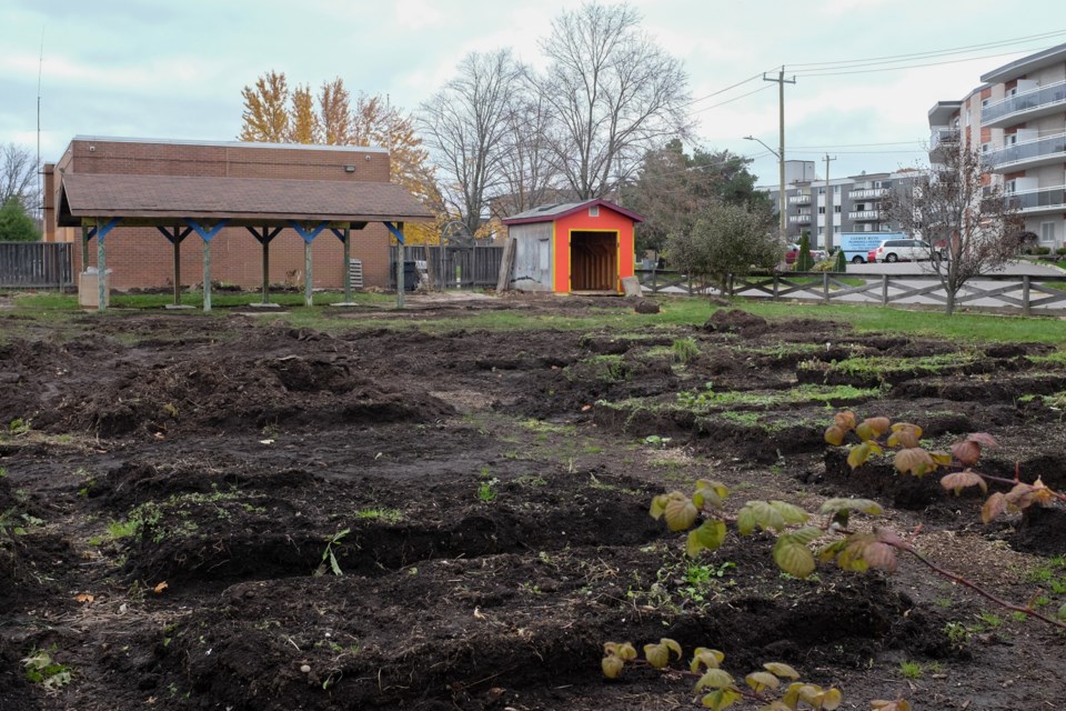 The former Allard Street Community Garden location on Nov. 2,  after whatever infrastructure and equipment that could be saved had been removed. Jeff Klassen/SooToday