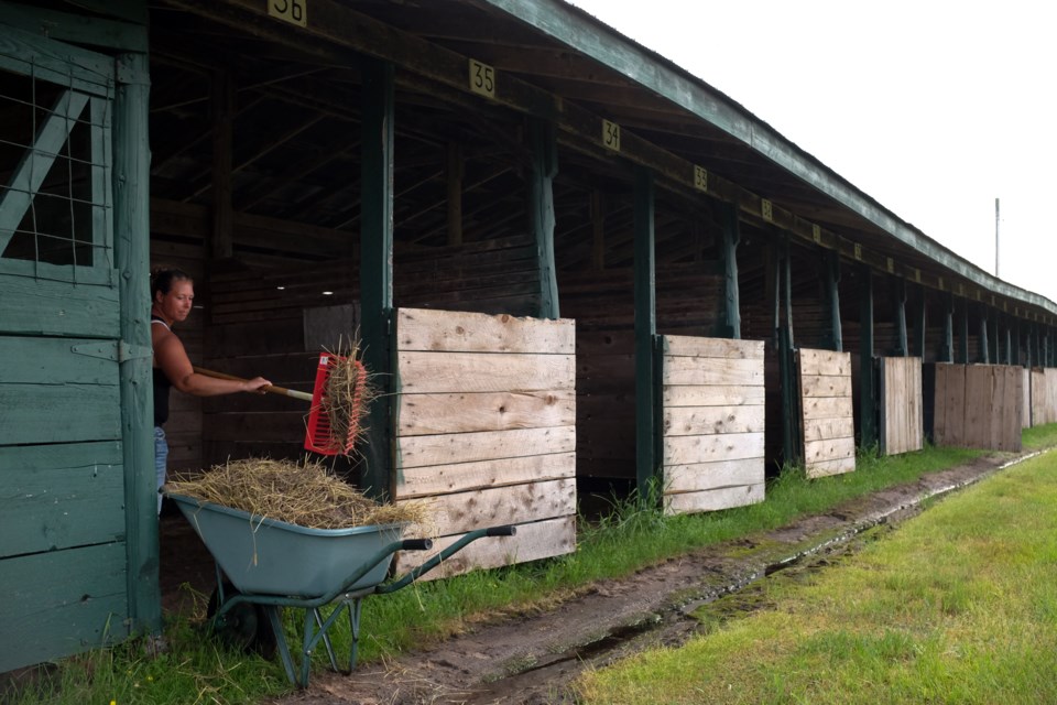 Heidi Reinecke cleaning out the stables before the 're-grande opening' of the Laird Agricultural Grounds horse arena. Reinecke has been volunteering her time over the past few weeks to help with the renovations. Photo by Jeff Klassen for SooToday