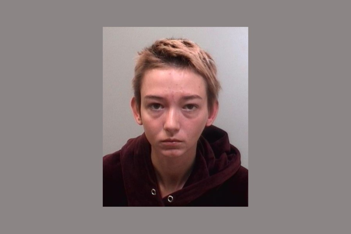Police Seek Missing Woman Who May Be In Orillia Area Update Located