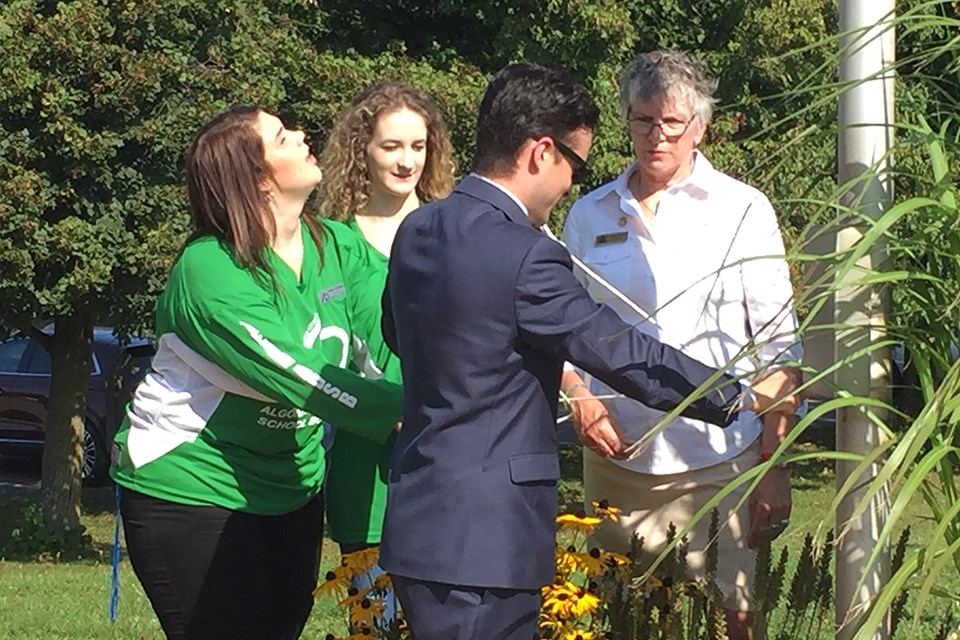 Franco-Ontarian flag fleur de lys and trillium green and white