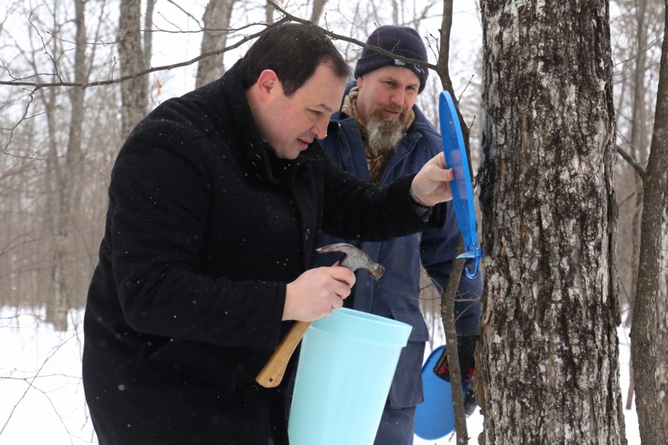 Algoma Maple Syrup Producers Association Celebrates First Tapping Sault Ste Marie News 6648