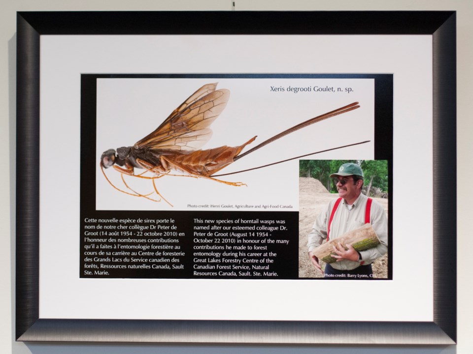 20160809 Peter De Groot Plaque at Great Lakes Forestry Centre KA