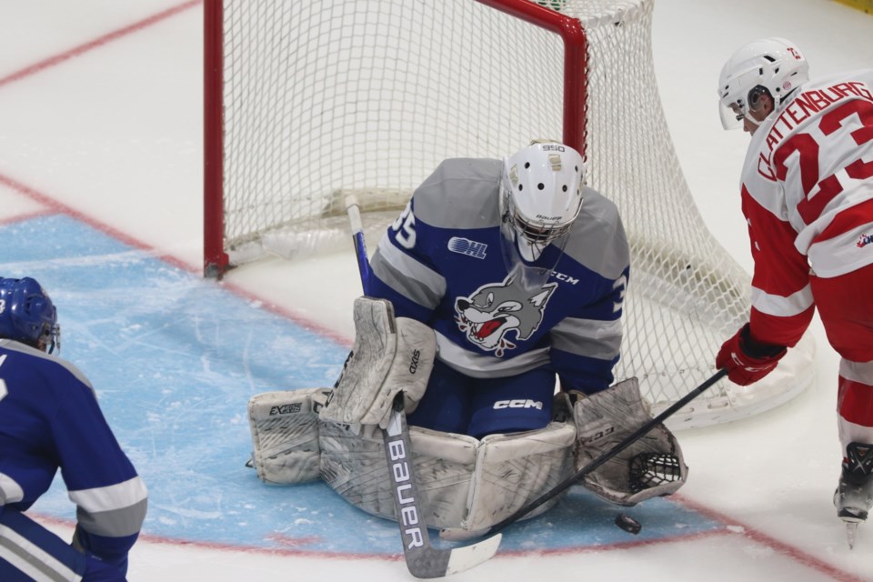 The Soo Greyhounds returned to action on with an Ontario Hockey League exhibition game at the GFL Memorial Gardens against the Sudbury Wolves on Sept. 3, 2022.