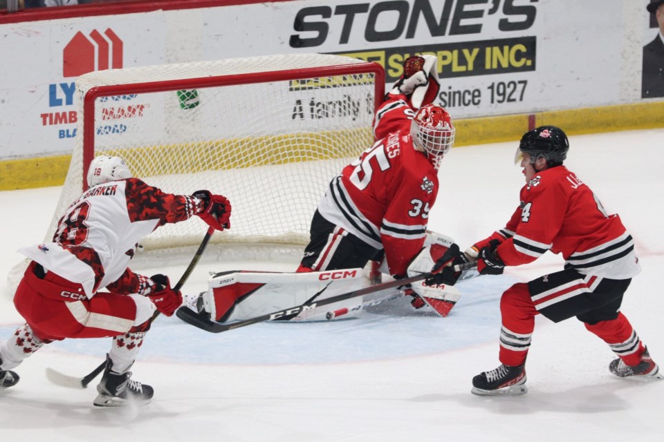 OHL action between the Soo Greyhounds and Niagara IceDogs at the GFL Memorial Gardens on Nov. 5, 2022.