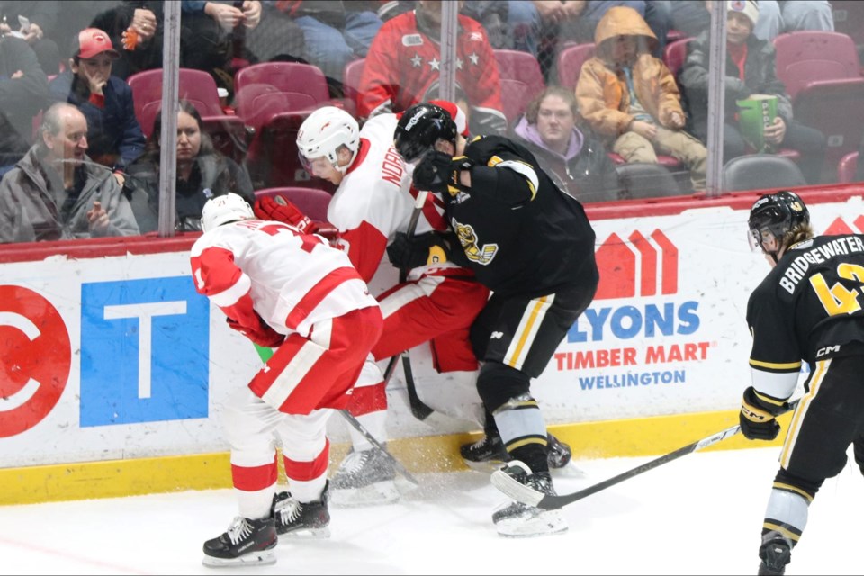 OHL action between the Soo Greyhounds and Sarnia Sting at the GFL Memorial Gardens on Dec. 15, 2024.