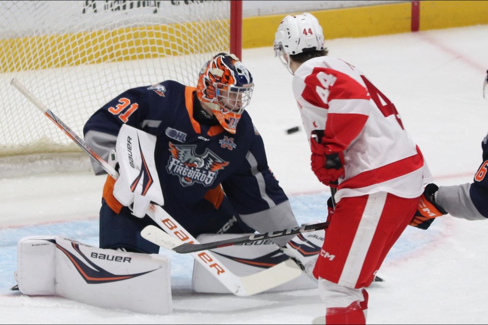 OHL action between the Soo Greyhounds and Flint Firebirds at the GFL Memorial Gardens on Oct. 18, 2024.