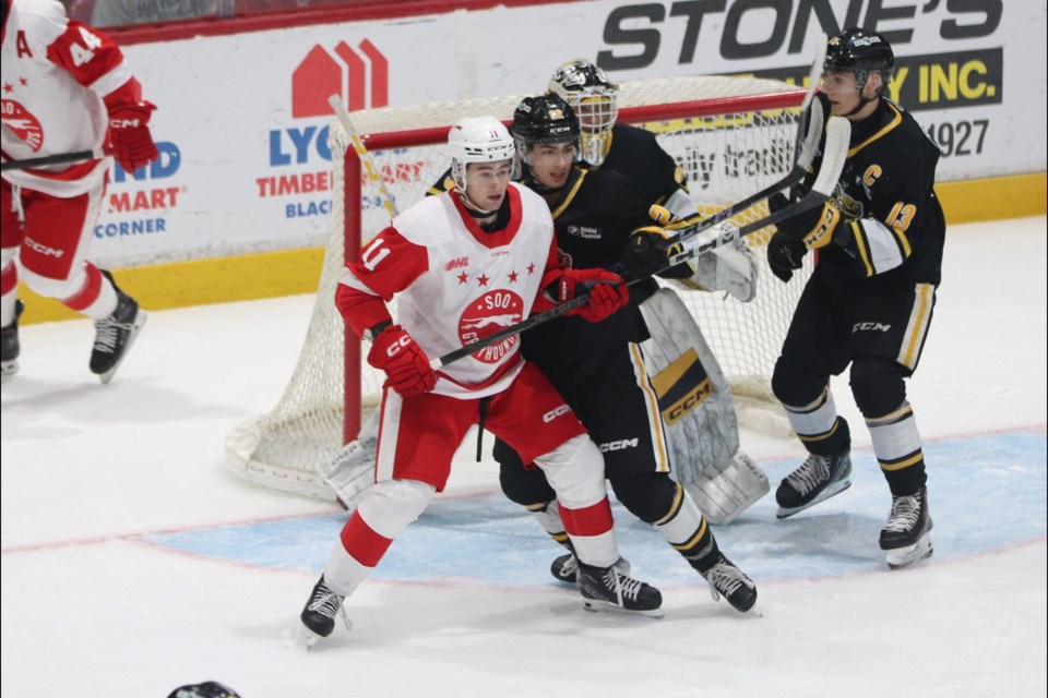 OHL action between the Soo Greyhounds and Sarnia Sting at the GFL Memorial Gardens on Oct. 20, 2024.