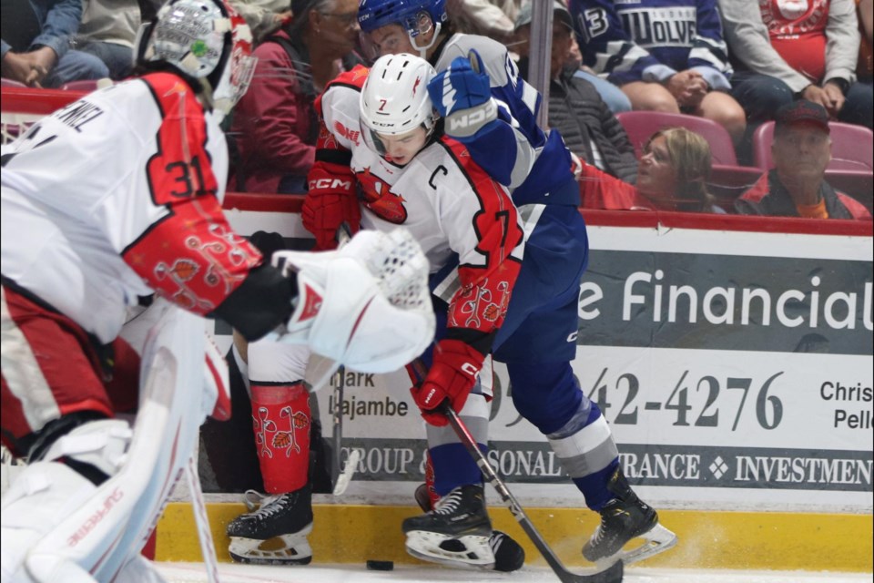 OHL action between the Soo Greyhounds and Sudbury Wolves at the GFL Memorial Gardens on Sept. 28, 2024.