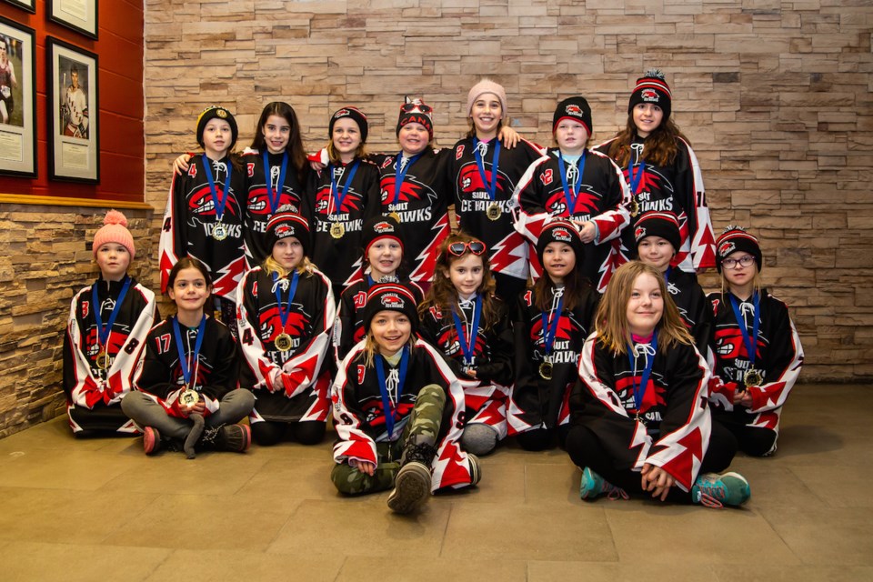 Sault Ringette Teams Bring Home Silver And Gold Sault Ste Marie News 