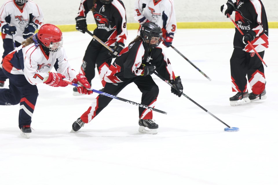 2025-01-30-ringette-photo-2