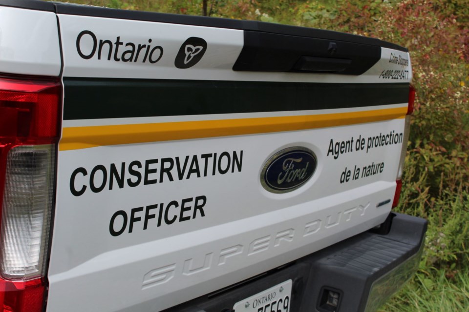 conservation officer truck