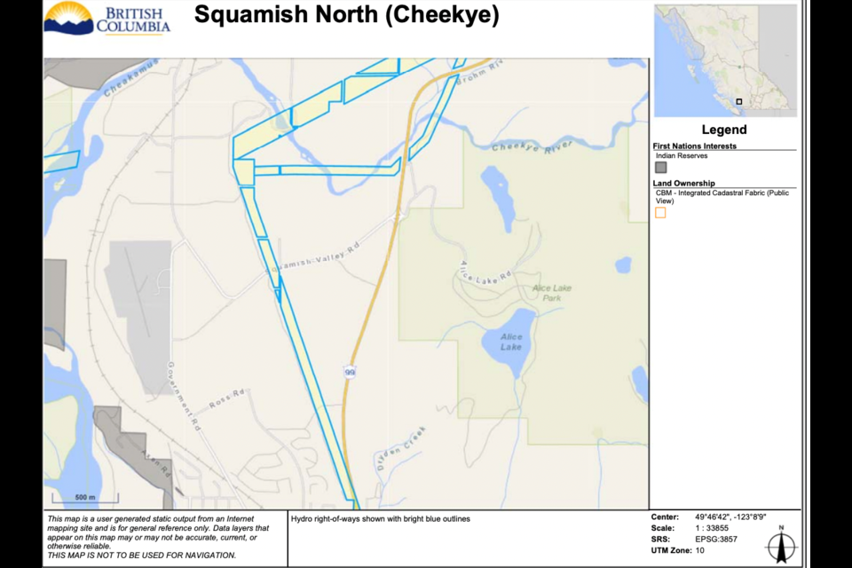 Christmas trees can be cut down under select hydro right-of-ways in Squamish with a permit.