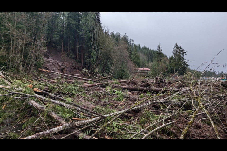 "Landslide between Lions Bay Ave and Brunswick Beach Rd (Lions Bay). Road closed. Assessment in progress. Tree on road. Debris on roadway. Expect delays," reads a post on drivebc.ca.