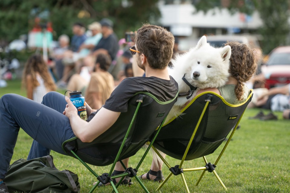 Dog enjoys the music on July 20. Amped in the Park is free. While it also features well-known artists, it aims to give up-and-coming artists the chance to be heard. Bring chairs or a blanket and check it out. 