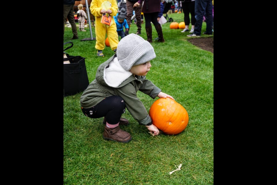 Pumpkin Patch in the Park event at Stan Clarke Park on Oct. 22.                      