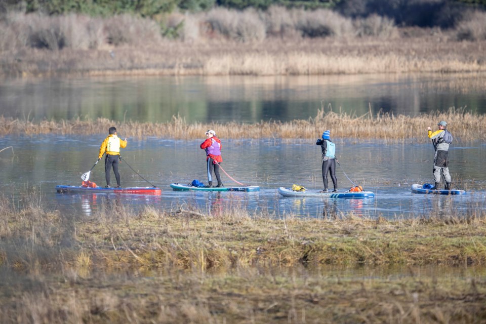 paddleboards-1-7820