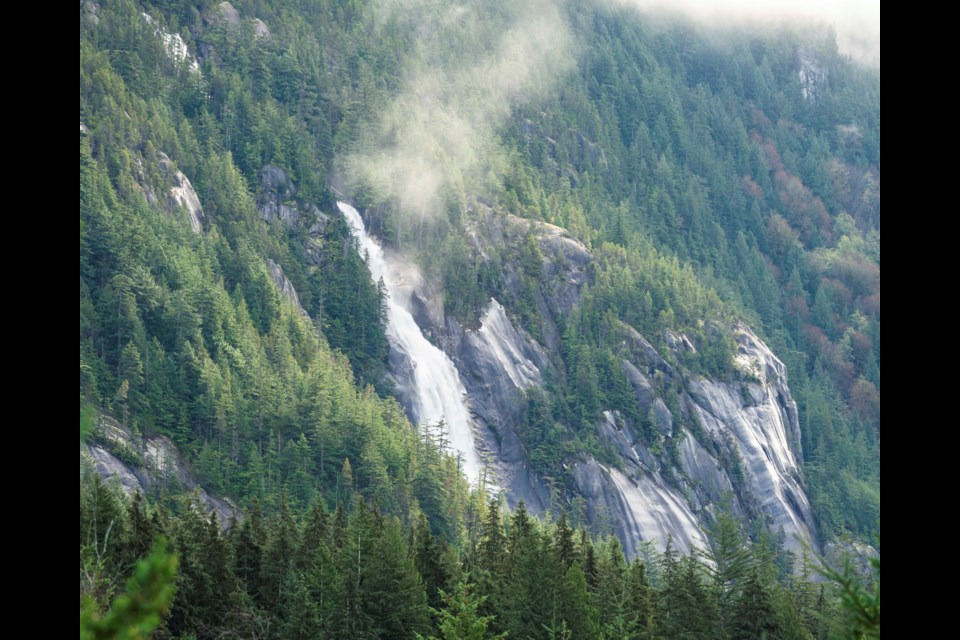 鶹forest; have a photo to share? Send it (or them) into news@squamishchief.com.
|Brian Aikens