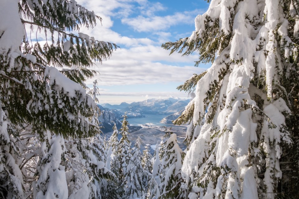 winterinsquamish