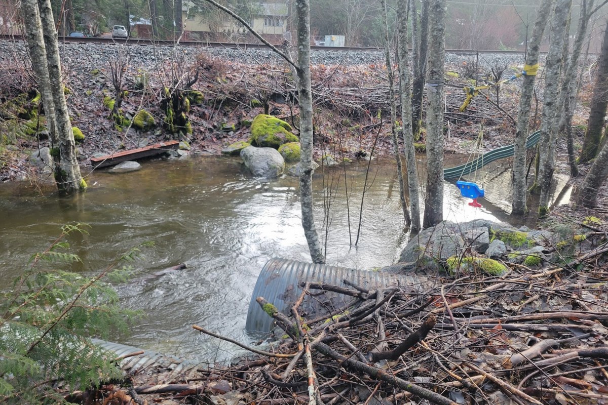 Here are some images of flooding in Paradise Valley - Squamish Chief