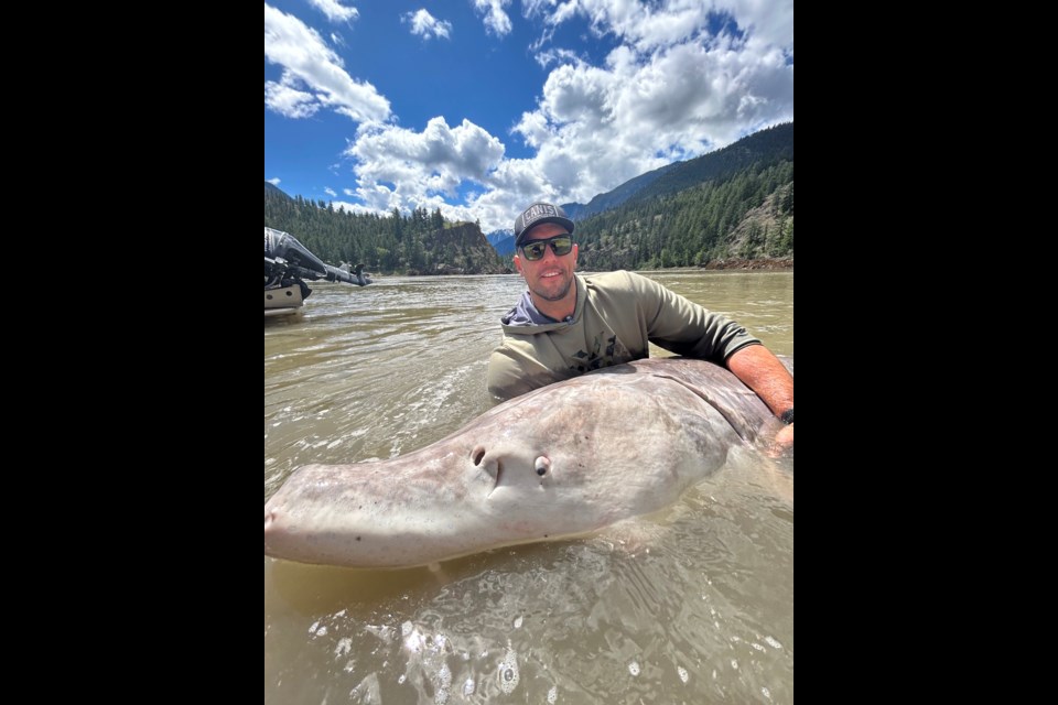 Pig Nose is a 317 kg (700 pound) sturgeon estimated to be anywhere from 80 to 100 years old, but could very possibly be as old as 200 years old, 