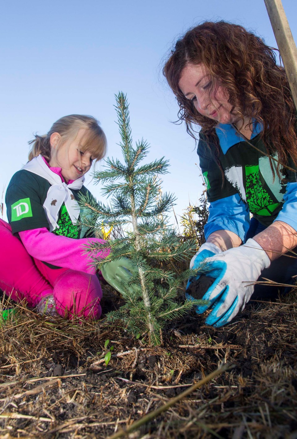 Environment File: White Spruce open house and green buildings - St ...