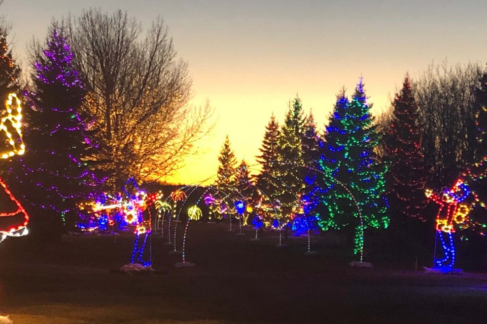 Flagstaff Christmas Eve Events 2022 A Forested Festival In Many Lights - Stalberttoday.ca