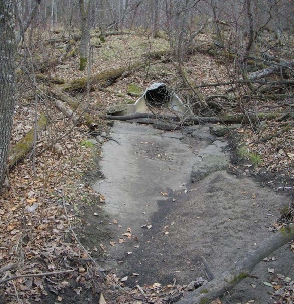 BIG FLOW – An upstream berm in the Grandin ravine.