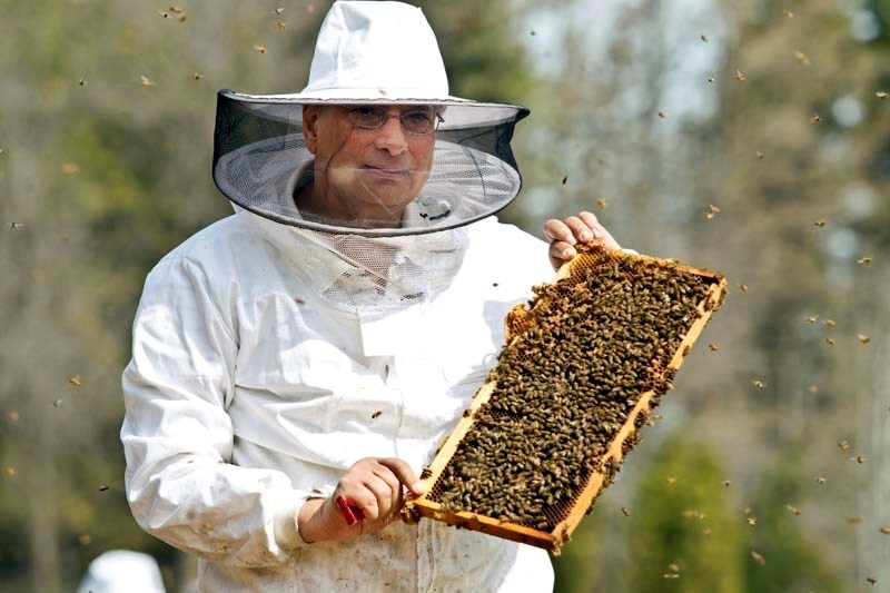 The bee guy - St. Albert News