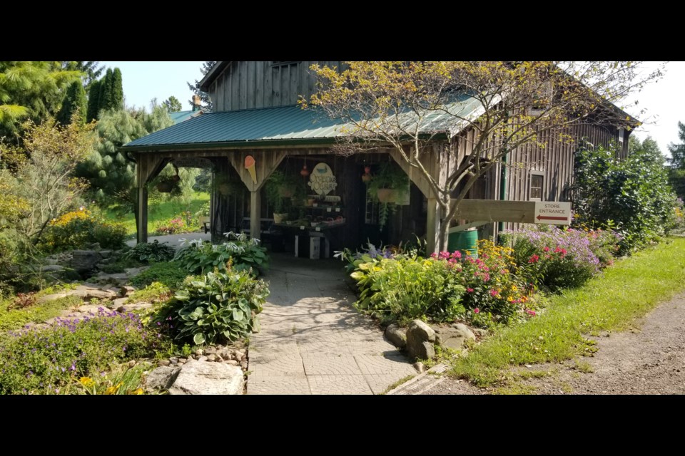 Wee Nature Walks are held (for now) out of the Organic Oasis Farm Store in Amulree.