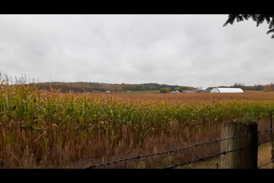 The views along the Avon Trail range from forested areas full of leaves, to vistas across farmland and scenic skies. (Avon Trail Photo)