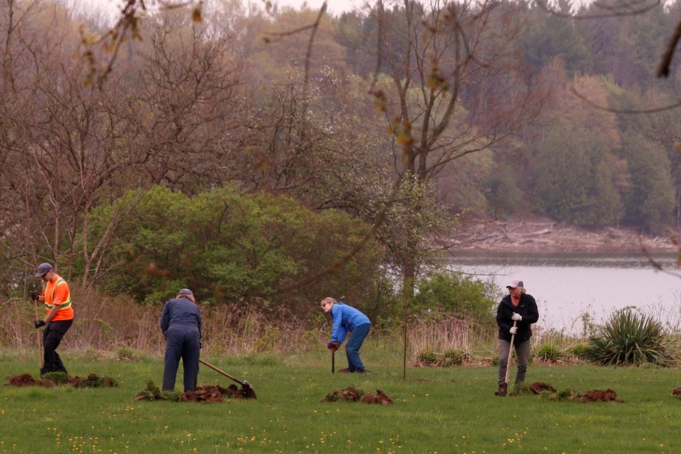 20240314treeplanting