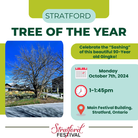 stratfords-tree-of-the-year