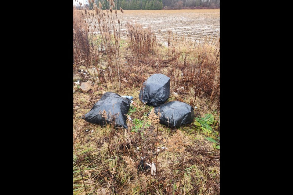 Highway litter.