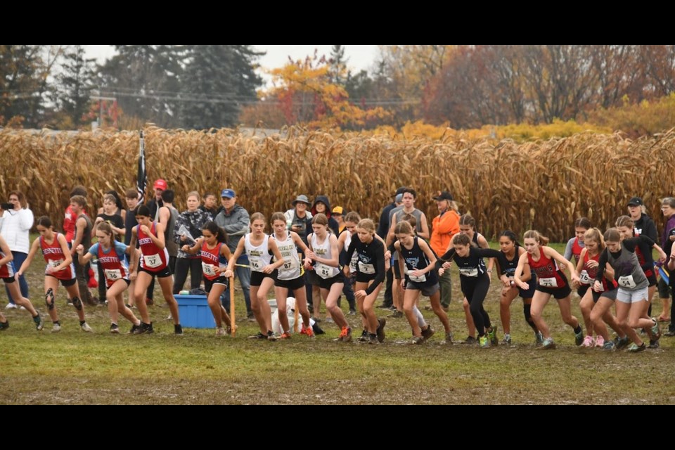 Competitors in the junior girl's division at the WOSSAA cross country championships.