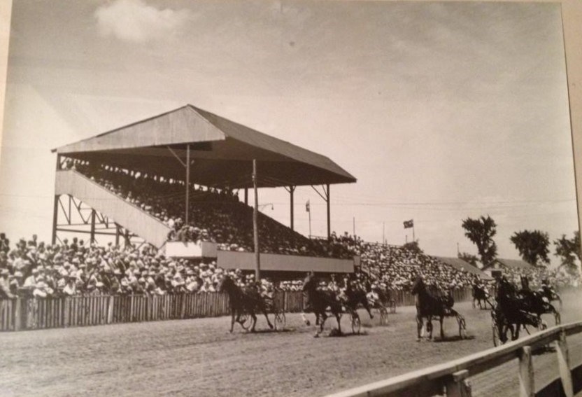 And down the stretch they come - a little harness racing action.