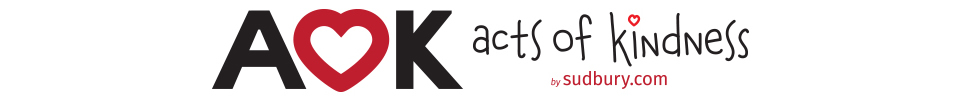 AOK Alt 960 x100 white bkg