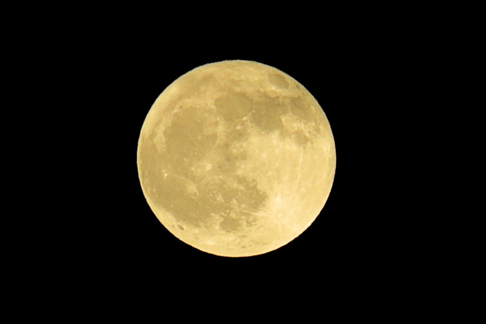 090523_denise-kitchin-full-moon