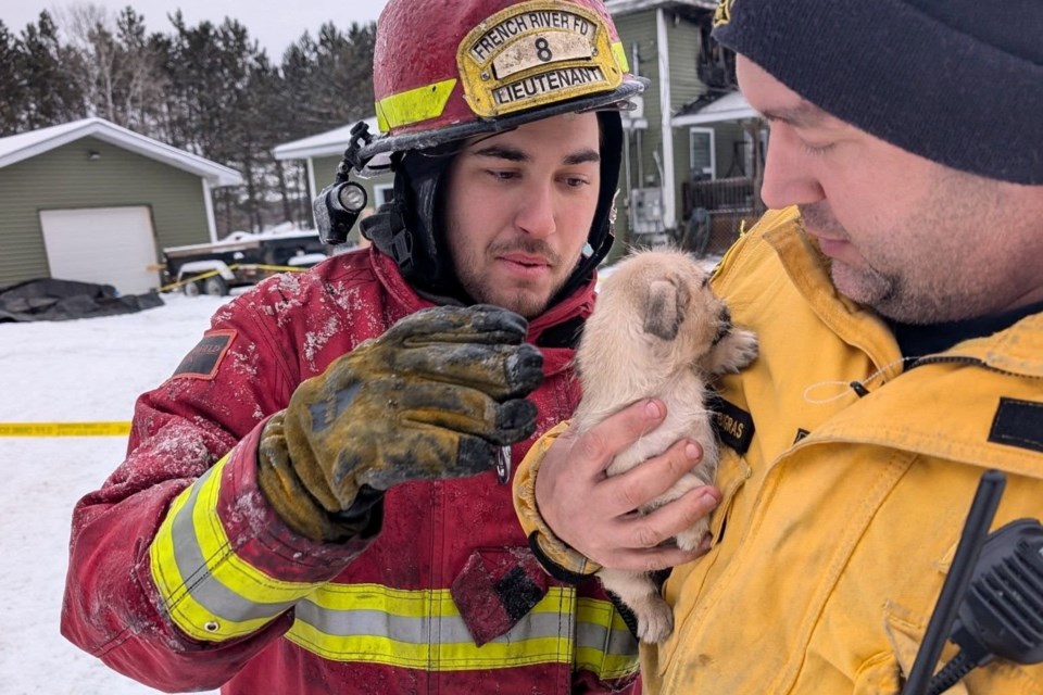 180125_facebook-french-river-fire-puppy-rescue-3