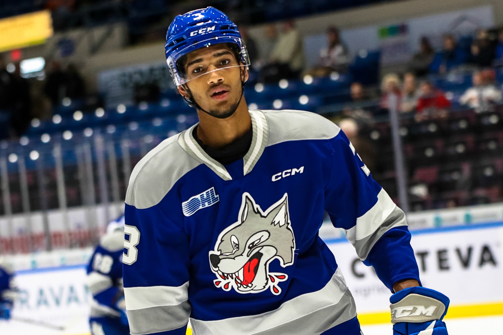 Sudbury Wolves - The Wolves will host the Mississauga