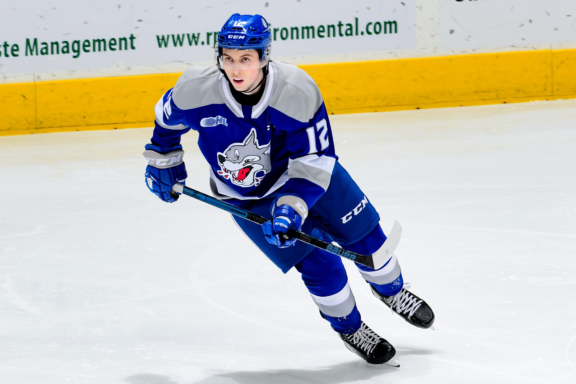 Sudbury Wolves - The Wolves will host the Mississauga