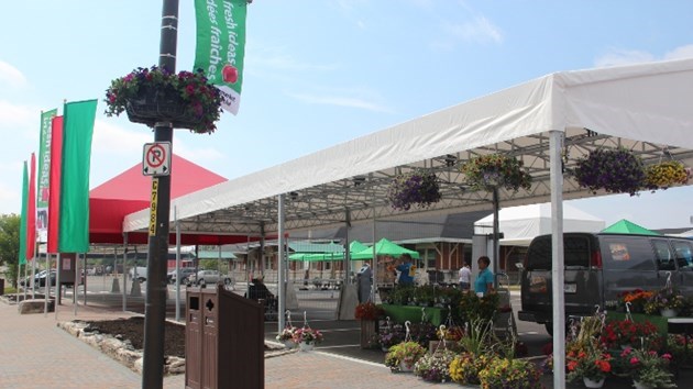 Strawberries, Peas and The Sudbury Guitar Trio this weekend at The Market