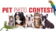 Pet Photo Contest And The Winners Are Sudbury