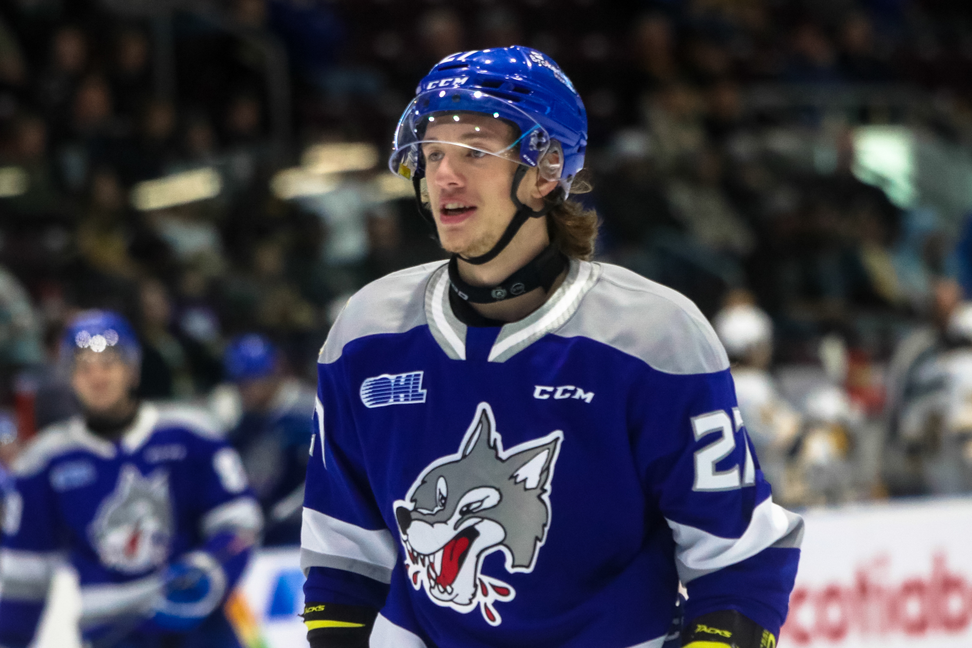 San Jose Sharks sign Quentin Musty of Sudbury Wolves to contract