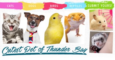 Cutest-Pets-of-Thunder-Bay--page-header-960x430