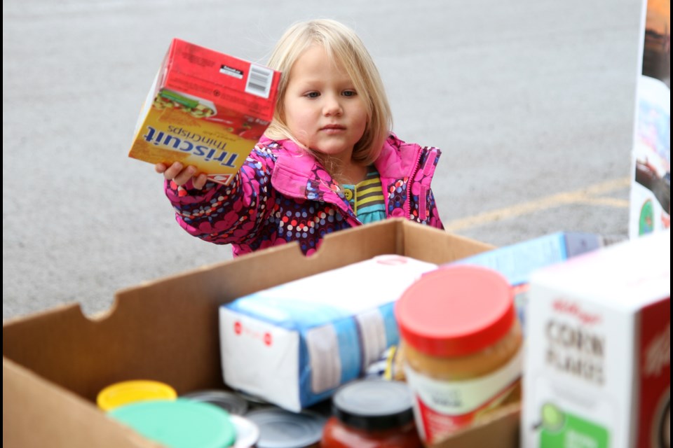 Local ambulance services were asking the community for help Saturday during the second annual Fill an Ambulance food drive.