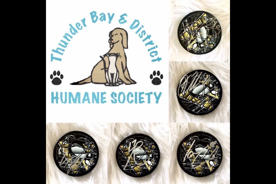 Matt Murray auctions World Cup stick in support of Thunder Bay humane  society