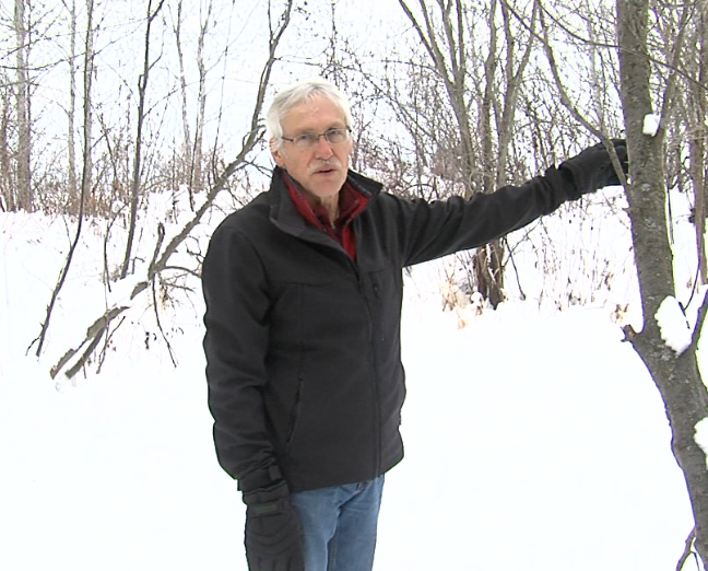 Chris Maley points to where a cougar passed by his trail camera in the early-morning hours of Dec. 31, 2020 (Cory Nordstrom/TBTV)